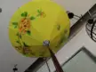 缩略图 3