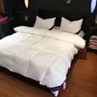 缩略图 1