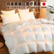 缩略图 4