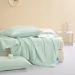 缩略图 1