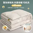 缩略图 5