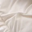 缩略图 3