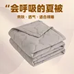 缩略图 2