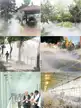 缩略图 3