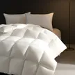 缩略图 5