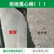 缩略图 1