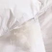 缩略图 3