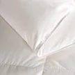 缩略图 2