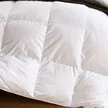 缩略图 1