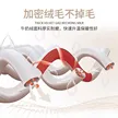 缩略图 2