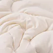 缩略图 8