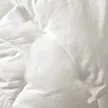 缩略图 4