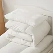 缩略图 2