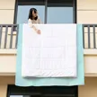 缩略图 8