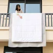 缩略图 6