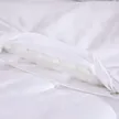 缩略图 2