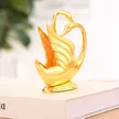 缩略图 5