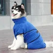 缩略图 1