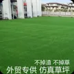 缩略图 2