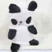 缩略图 5