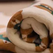 缩略图 2