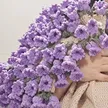 缩略图 8