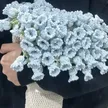 缩略图 1