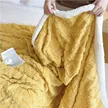 缩略图 6