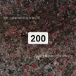 缩略图 7
