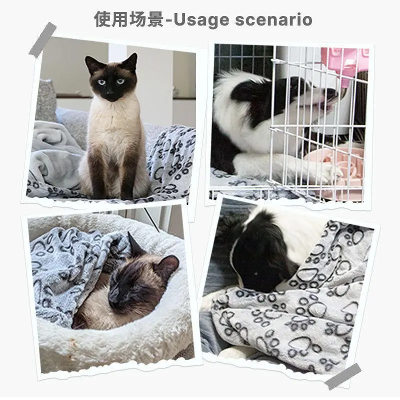 主图 1