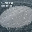 缩略图 2