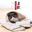 缩略图 2