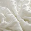 缩略图 1