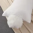 缩略图 1