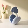 缩略图 1
