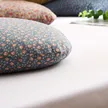 缩略图 2