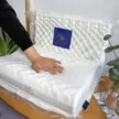 缩略图 2