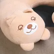 缩略图 3