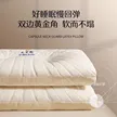 缩略图 5