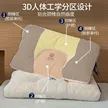缩略图 2