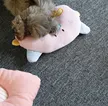 缩略图 2