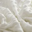缩略图 1