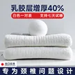 缩略图 6