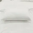 缩略图 5