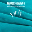 缩略图 2