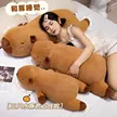 缩略图 1