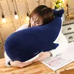缩略图 3