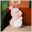 缩略图 4