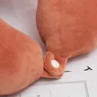 缩略图 2