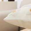 缩略图 2
